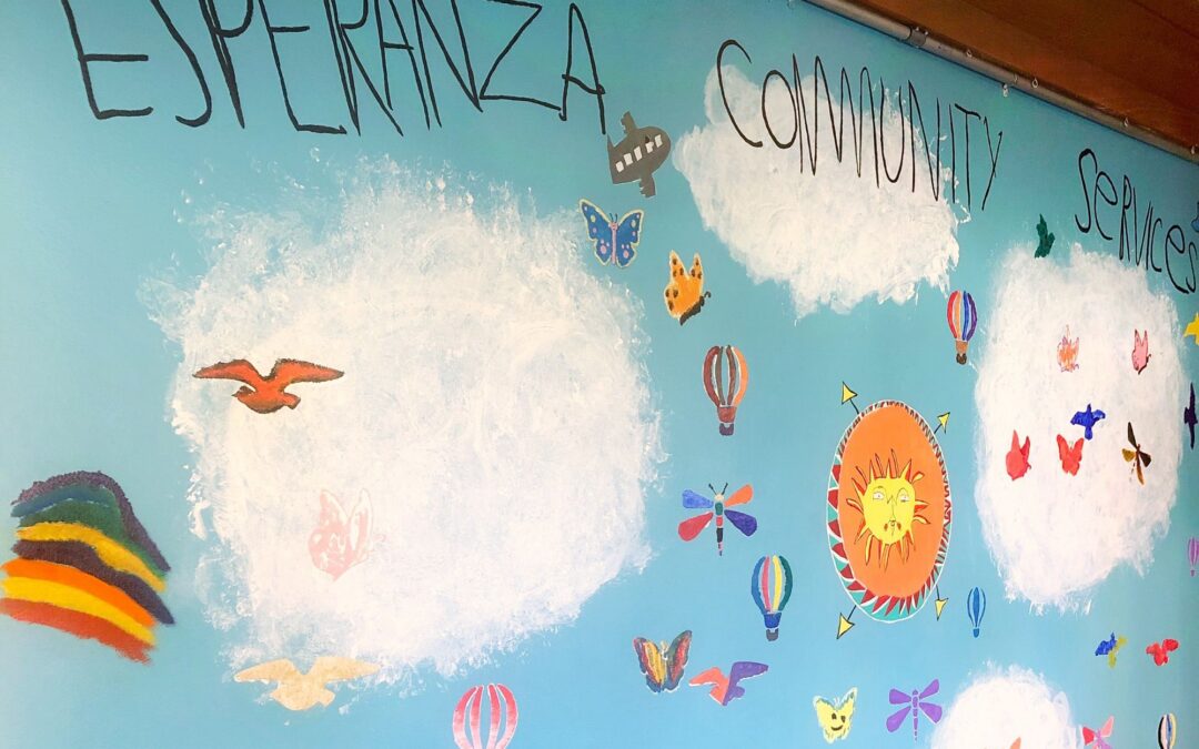Recruiting for Esperanza’s Chief Executive Officer